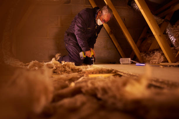 Professional Insulation Services in Derwood, MD